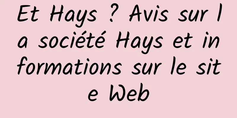 Et Hays ? Avis sur la société Hays et informations sur le site Web