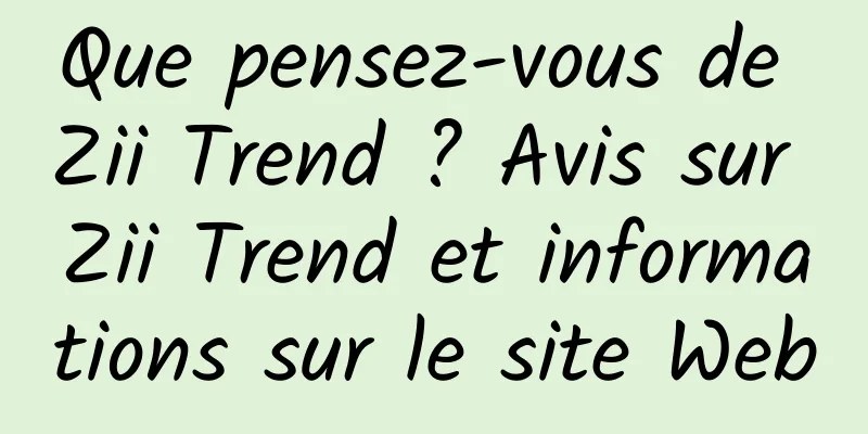 Que pensez-vous de Zii Trend ? Avis sur Zii Trend et informations sur le site Web