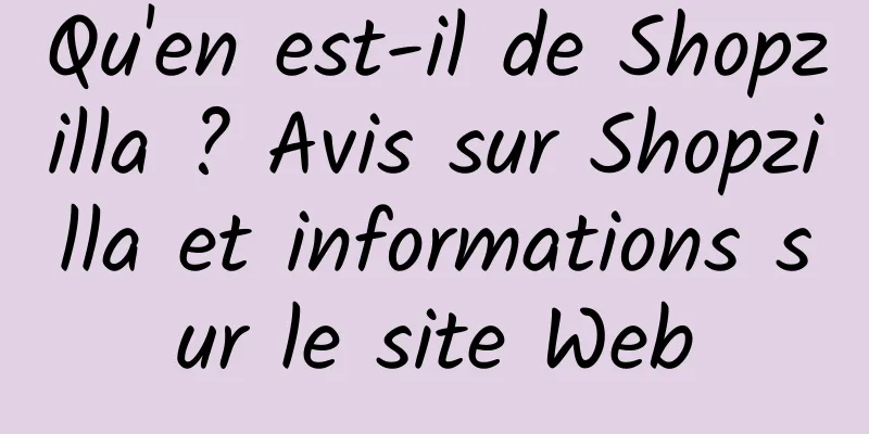Qu'en est-il de Shopzilla ? Avis sur Shopzilla et informations sur le site Web