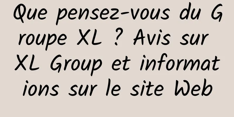 Que pensez-vous du Groupe XL ? Avis sur XL Group et informations sur le site Web