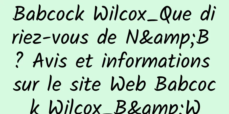 Babcock Wilcox_Que diriez-vous de N&B ? Avis et informations sur le site Web Babcock Wilcox_B&W
