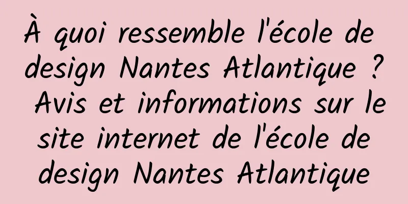 À quoi ressemble l'école de design Nantes Atlantique ? Avis et informations sur le site internet de l'école de design Nantes Atlantique