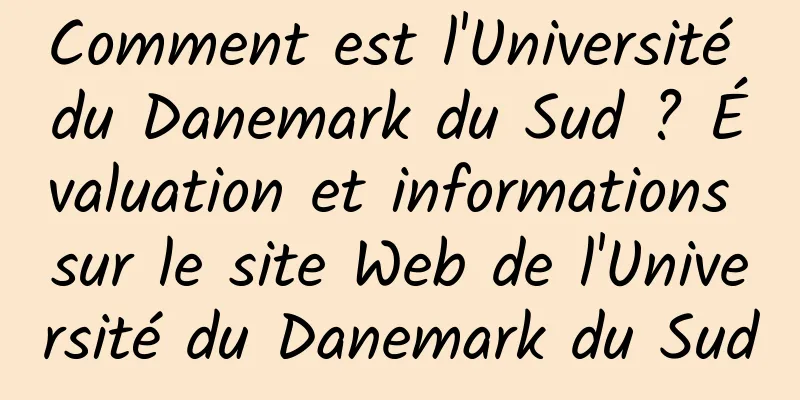 Comment est l'Université du Danemark du Sud ? Évaluation et informations sur le site Web de l'Université du Danemark du Sud