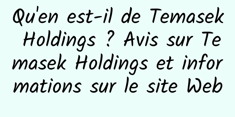 Qu'en est-il de Temasek Holdings ? Avis sur Temasek Holdings et informations sur le site Web