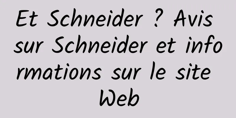 Et Schneider ? Avis sur Schneider et informations sur le site Web