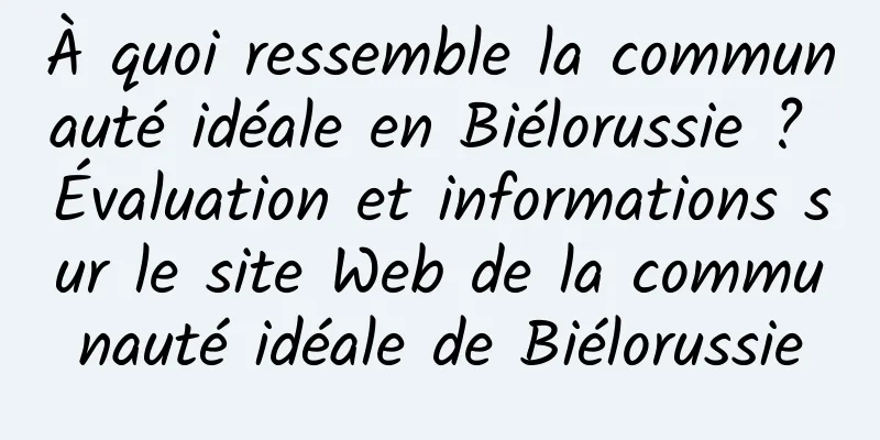 À quoi ressemble la communauté idéale en Biélorussie ? Évaluation et informations sur le site Web de la communauté idéale de Biélorussie