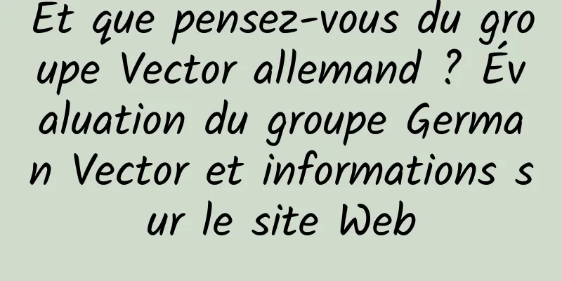 Et que pensez-vous du groupe Vector allemand ? Évaluation du groupe German Vector et informations sur le site Web