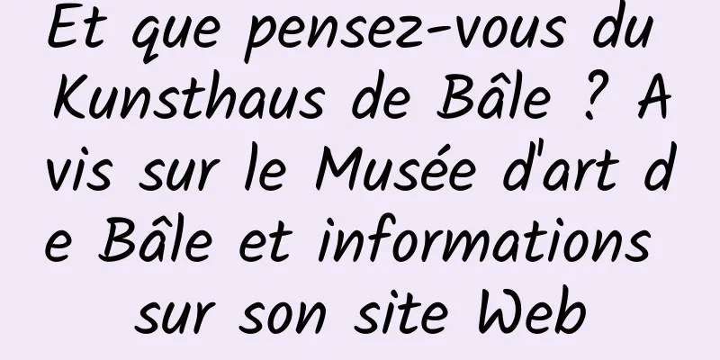 Et que pensez-vous du Kunsthaus de Bâle ? Avis sur le Musée d'art de Bâle et informations sur son site Web