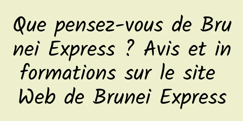 Que pensez-vous de Brunei Express ? Avis et informations sur le site Web de Brunei Express