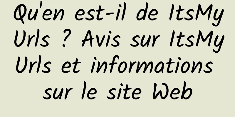 Qu'en est-il de ItsMyUrls ? Avis sur ItsMyUrls et informations sur le site Web