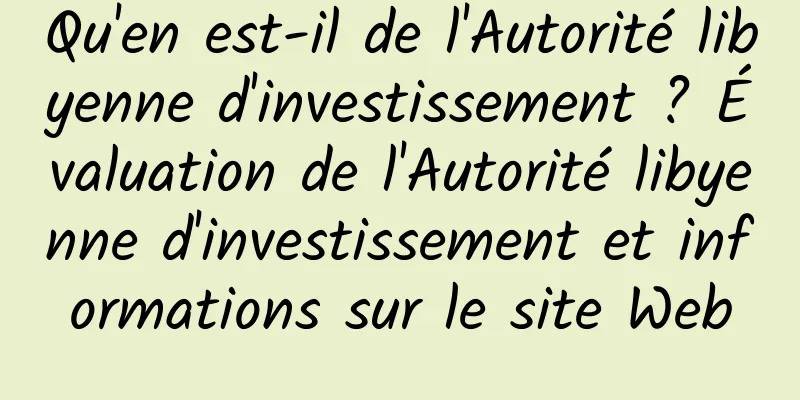 Qu'en est-il de l'Autorité libyenne d'investissement ? Évaluation de l'Autorité libyenne d'investissement et informations sur le site Web
