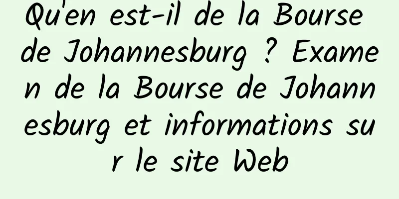 Qu'en est-il de la Bourse de Johannesburg ? Examen de la Bourse de Johannesburg et informations sur le site Web