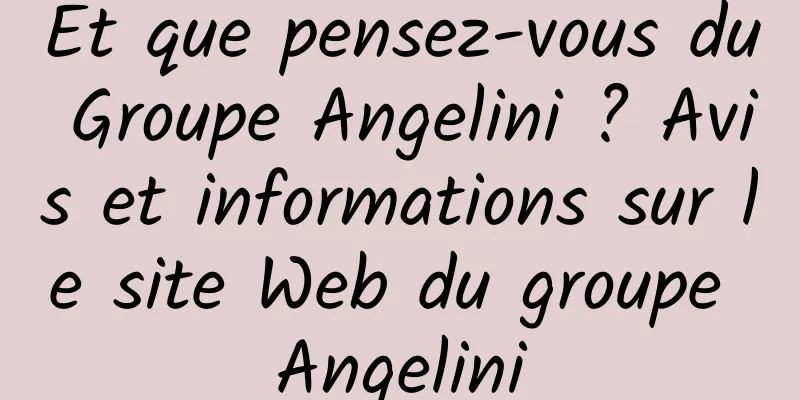 Et que pensez-vous du Groupe Angelini ? Avis et informations sur le site Web du groupe Angelini