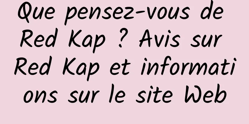 Que pensez-vous de Red Kap ? Avis sur Red Kap et informations sur le site Web