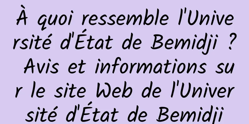 À quoi ressemble l'Université d'État de Bemidji ? Avis et informations sur le site Web de l'Université d'État de Bemidji