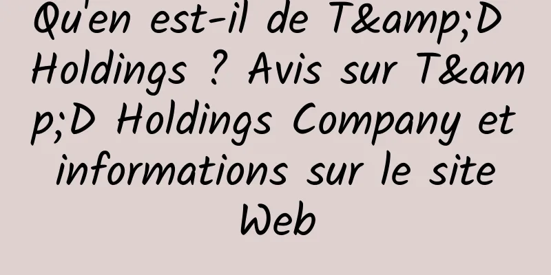 Qu'en est-il de T&D Holdings ? Avis sur T&D Holdings Company et informations sur le site Web