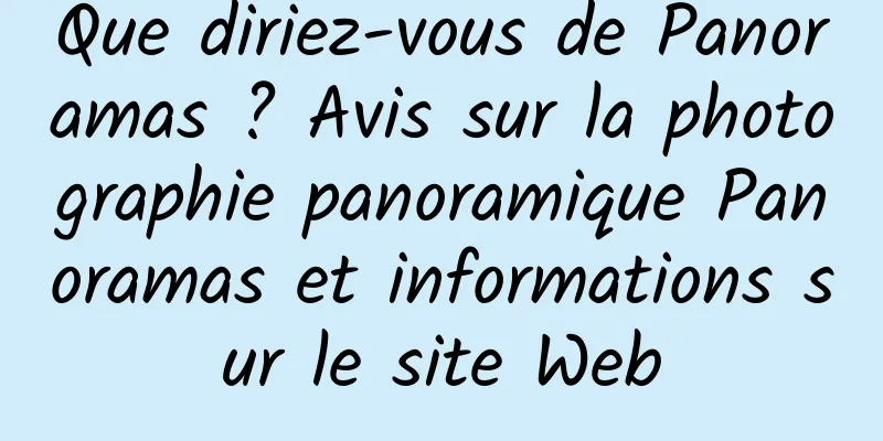 Que diriez-vous de Panoramas ? Avis sur la photographie panoramique Panoramas et informations sur le site Web