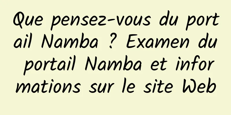 Que pensez-vous du portail Namba ? Examen du portail Namba et informations sur le site Web