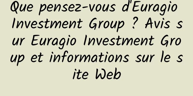 Que pensez-vous d'Euragio Investment Group ? Avis sur Euragio Investment Group et informations sur le site Web
