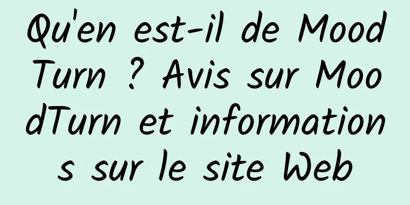 Qu'en est-il de MoodTurn ? Avis sur MoodTurn et informations sur le site Web
