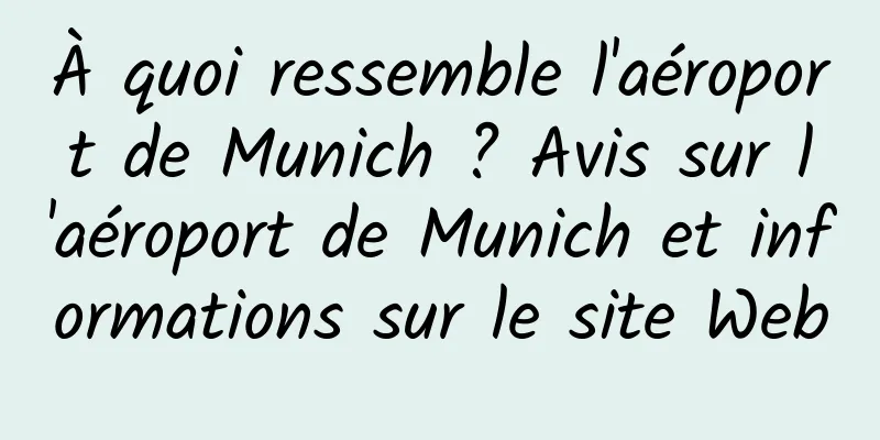 À quoi ressemble l'aéroport de Munich ? Avis sur l'aéroport de Munich et informations sur le site Web
