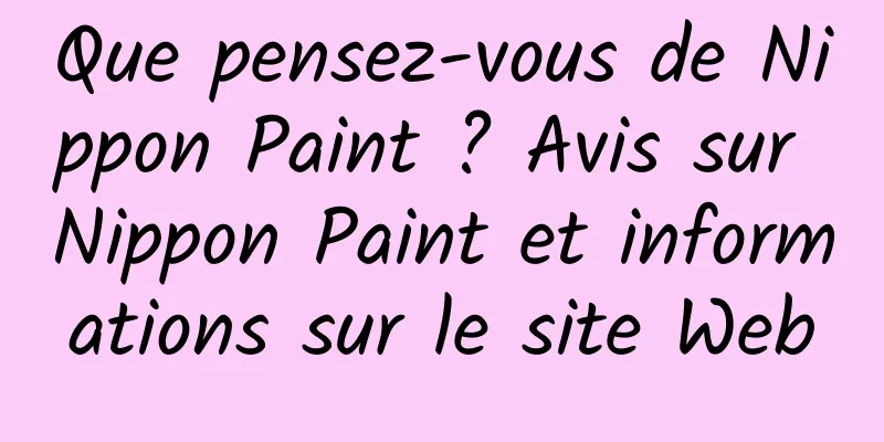 Que pensez-vous de Nippon Paint ? Avis sur Nippon Paint et informations sur le site Web