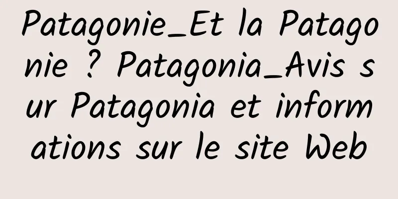 Patagonie_Et la Patagonie ? Patagonia_Avis sur Patagonia et informations sur le site Web