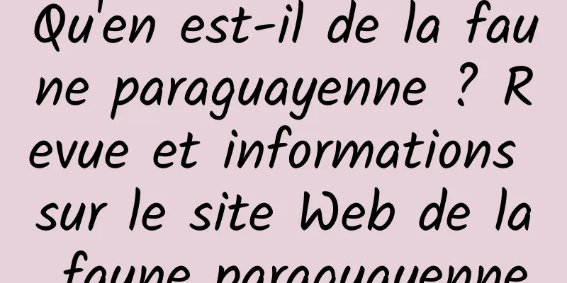 Qu'en est-il de la faune paraguayenne ? Revue et informations sur le site Web de la faune paraguayenne