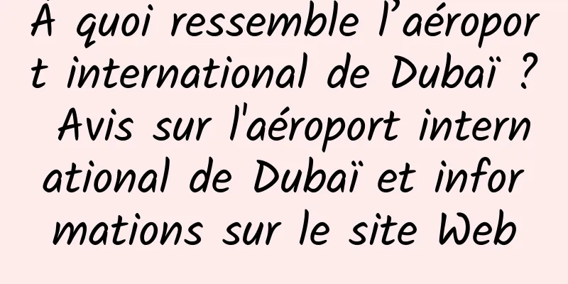 À quoi ressemble l’aéroport international de Dubaï ? Avis sur l'aéroport international de Dubaï et informations sur le site Web