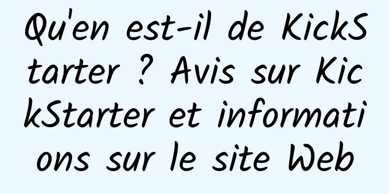 Qu'en est-il de KickStarter ? Avis sur KickStarter et informations sur le site Web