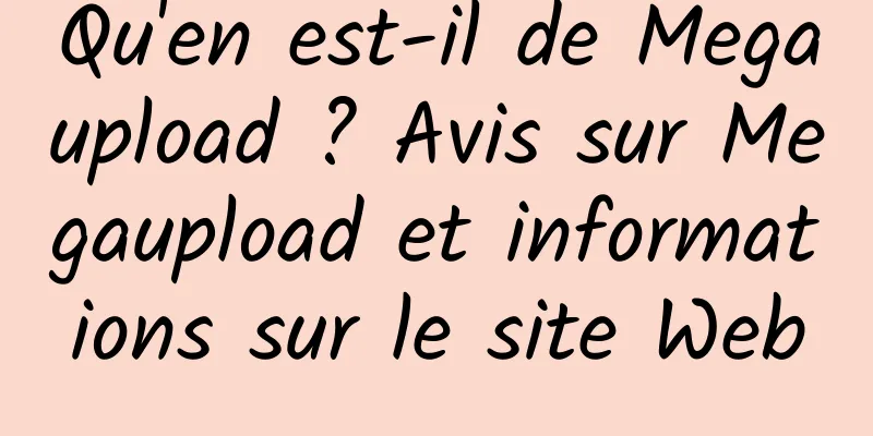 Qu'en est-il de Megaupload ? Avis sur Megaupload et informations sur le site Web