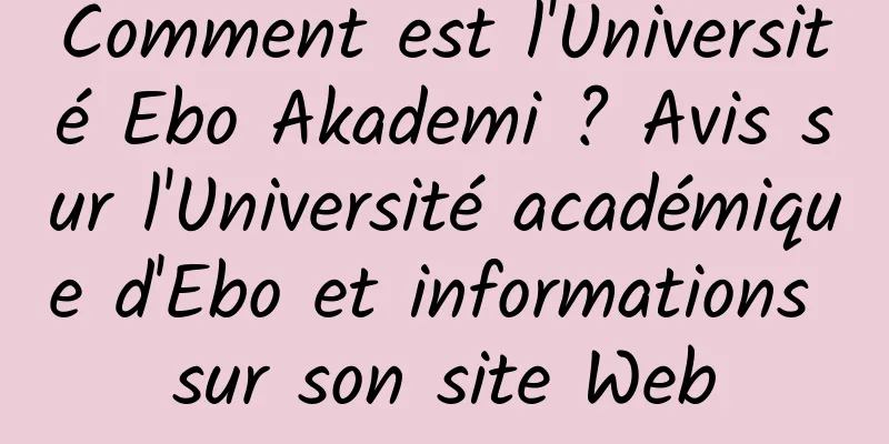 Comment est l'Université Ebo Akademi ? Avis sur l'Université académique d'Ebo et informations sur son site Web