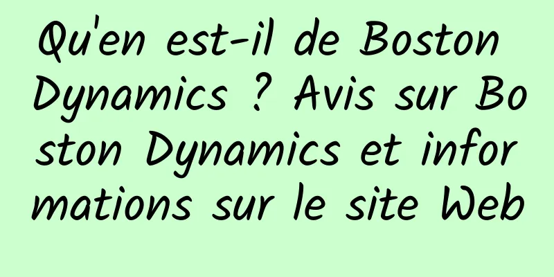 Qu'en est-il de Boston Dynamics ? Avis sur Boston Dynamics et informations sur le site Web