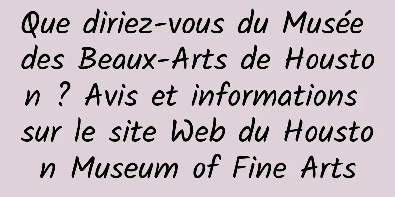 Que diriez-vous du Musée des Beaux-Arts de Houston ? Avis et informations sur le site Web du Houston Museum of Fine Arts