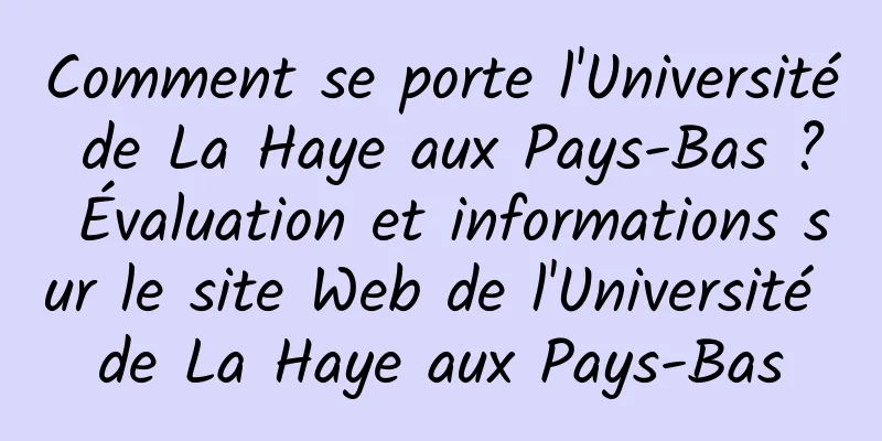 Comment se porte l'Université de La Haye aux Pays-Bas ? Évaluation et informations sur le site Web de l'Université de La Haye aux Pays-Bas