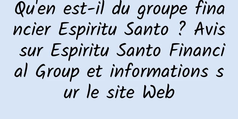 Qu'en est-il du groupe financier Espiritu Santo ? Avis sur Espiritu Santo Financial Group et informations sur le site Web