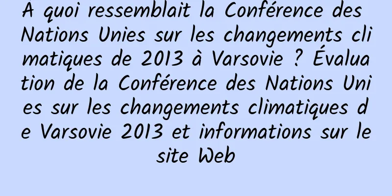 À quoi ressemblait la Conférence des Nations Unies sur les changements climatiques de 2013 à Varsovie ? Évaluation de la Conférence des Nations Unies sur les changements climatiques de Varsovie 2013 et informations sur le site Web 