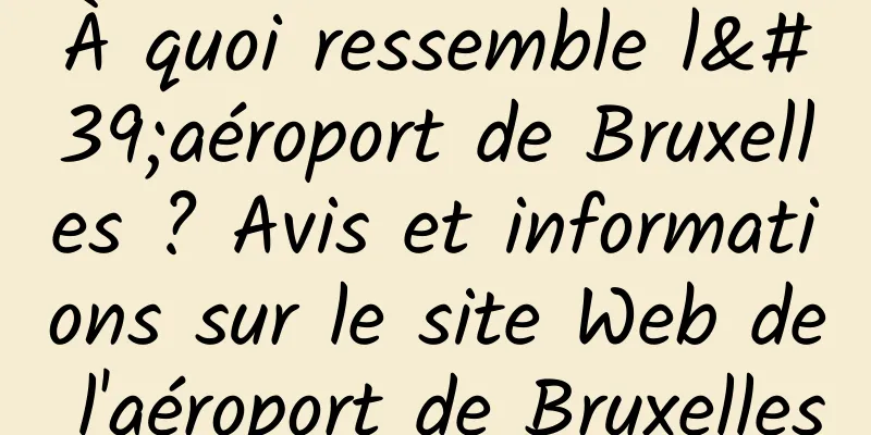 À quoi ressemble l'aéroport de Bruxelles ? Avis et informations sur le site Web de l'aéroport de Bruxelles