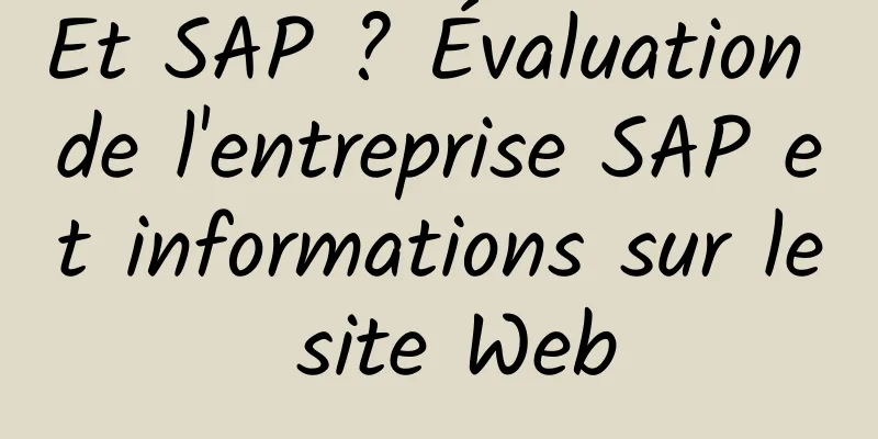 Et SAP ? Évaluation de l'entreprise SAP et informations sur le site Web