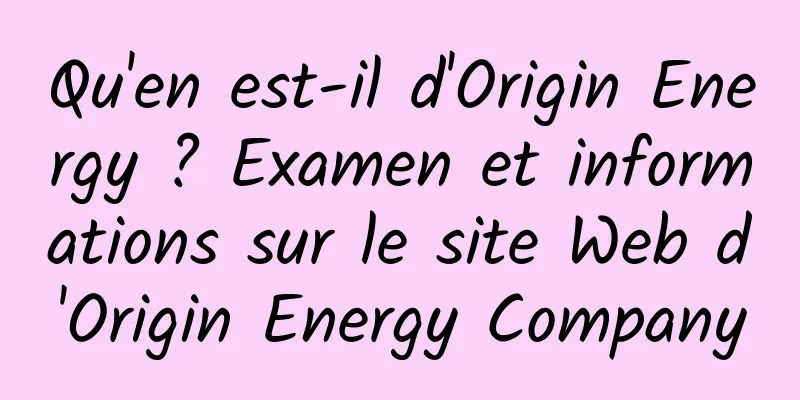 Qu'en est-il d'Origin Energy ? Examen et informations sur le site Web d'Origin Energy Company
