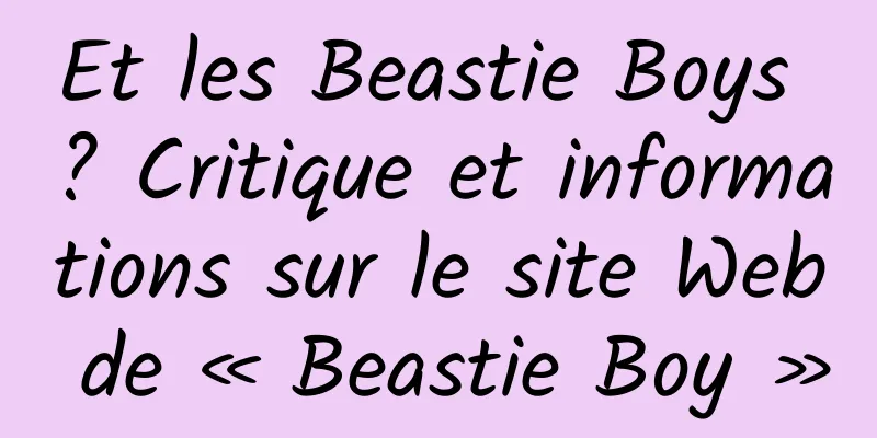 Et les Beastie Boys ? Critique et informations sur le site Web de « Beastie Boy »