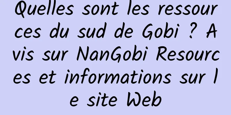 Quelles sont les ressources du sud de Gobi ? Avis sur NanGobi Resources et informations sur le site Web