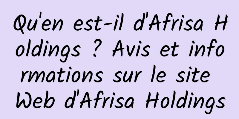 Qu'en est-il d'Afrisa Holdings ? Avis et informations sur le site Web d'Afrisa Holdings