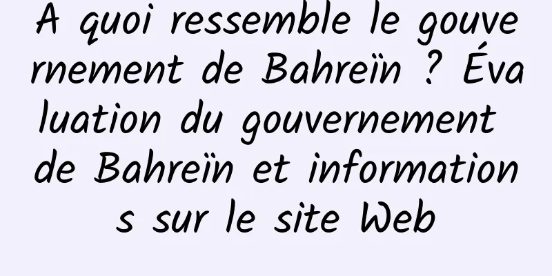 À quoi ressemble le gouvernement de Bahreïn ? Évaluation du gouvernement de Bahreïn et informations sur le site Web