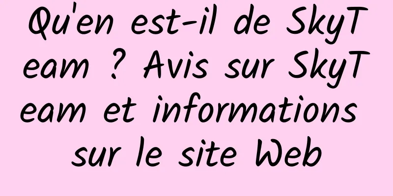 Qu'en est-il de SkyTeam ? Avis sur SkyTeam et informations sur le site Web
