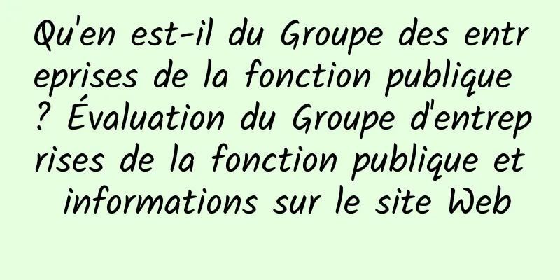 Qu'en est-il du Groupe des entreprises de la fonction publique ? Évaluation du Groupe d'entreprises de la fonction publique et informations sur le site Web