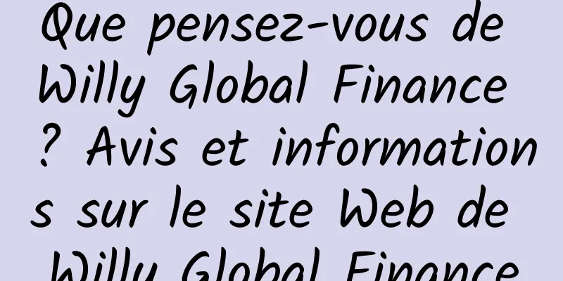 Que pensez-vous de Willy Global Finance ? Avis et informations sur le site Web de Willy Global Finance