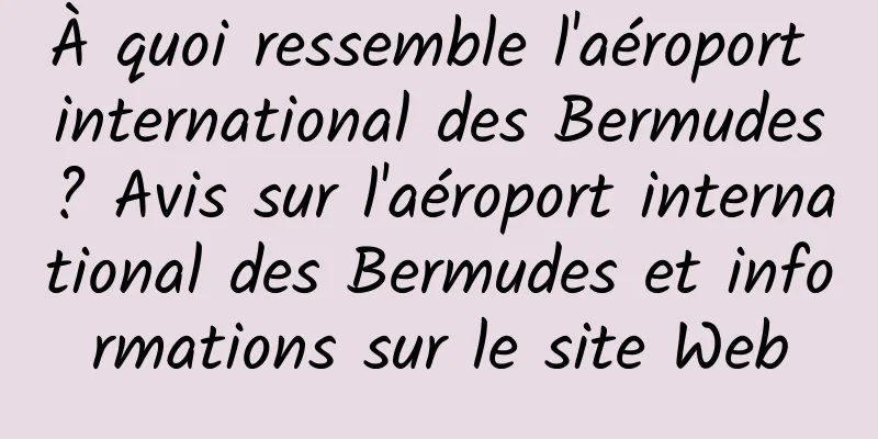 À quoi ressemble l'aéroport international des Bermudes ? Avis sur l'aéroport international des Bermudes et informations sur le site Web