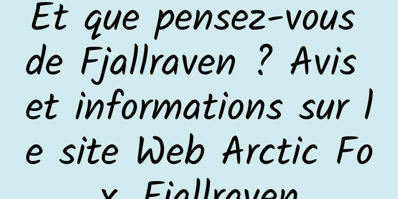 Et que pensez-vous de Fjallraven ? Avis et informations sur le site Web Arctic Fox_Fjallraven