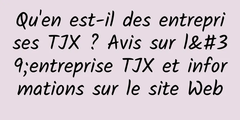 Qu'en est-il des entreprises TJX ? Avis sur l'entreprise TJX et informations sur le site Web